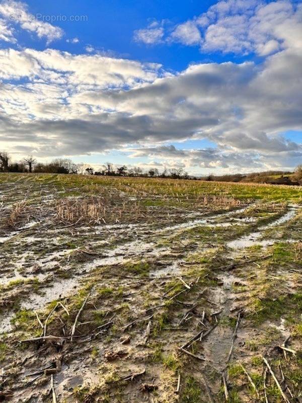 Terrain à LE PLESSIS-LASTELLE