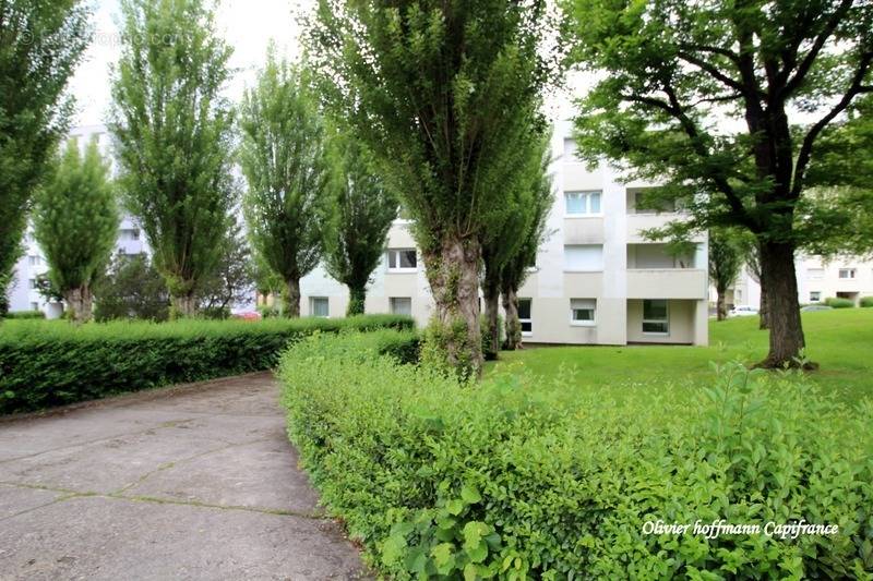 Appartement à SARREBOURG