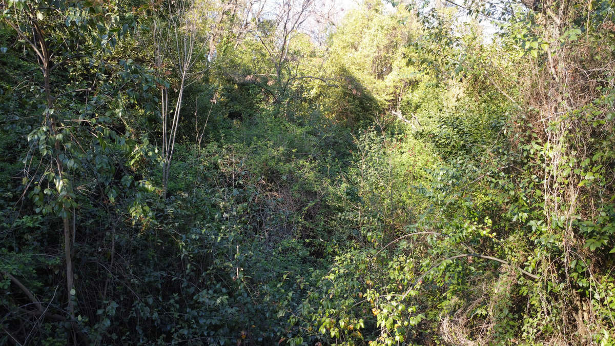 Terrain à GRASSE