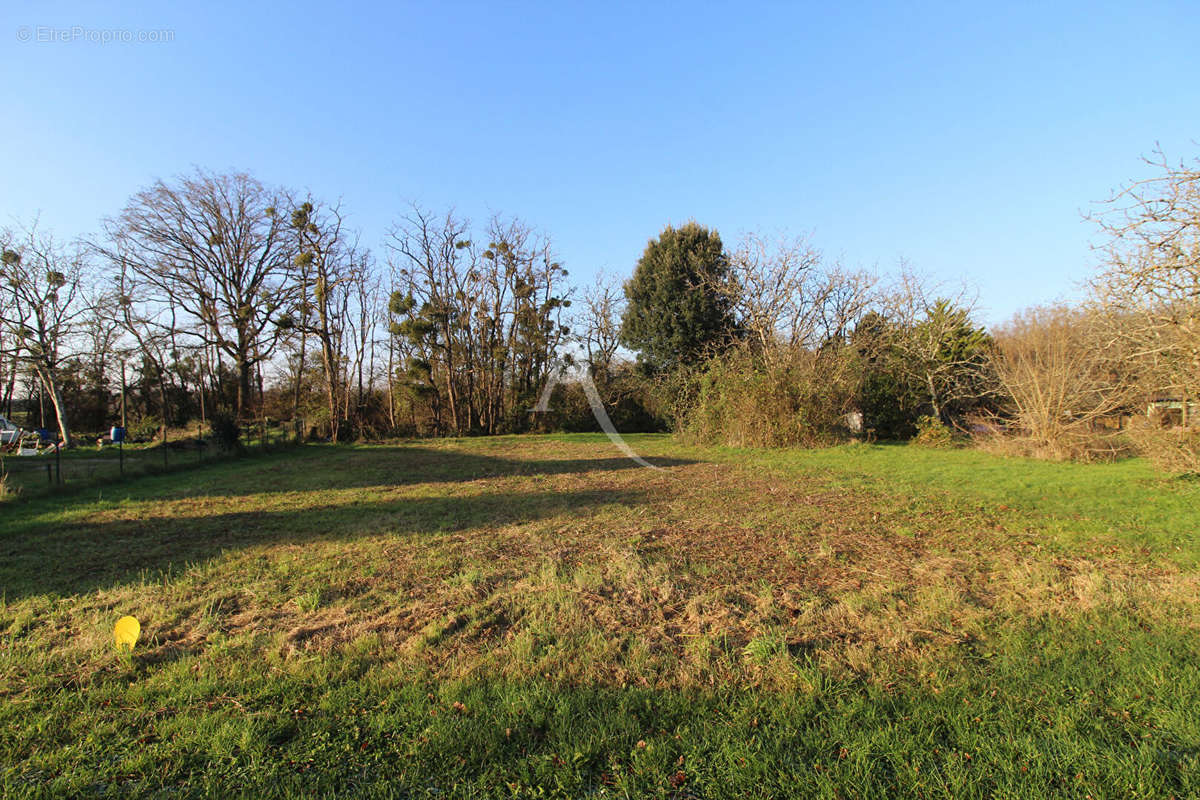 Terrain à MONTEAUX