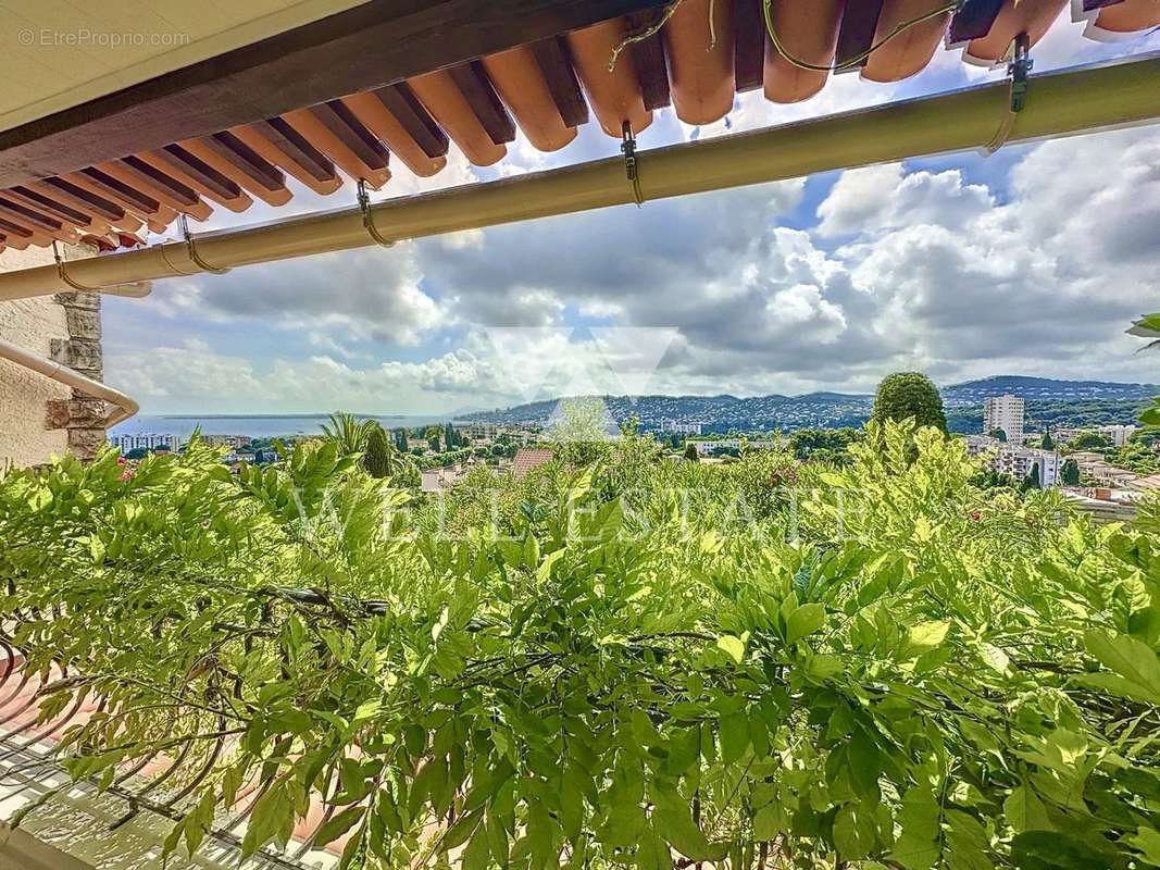 Maison à ANTIBES