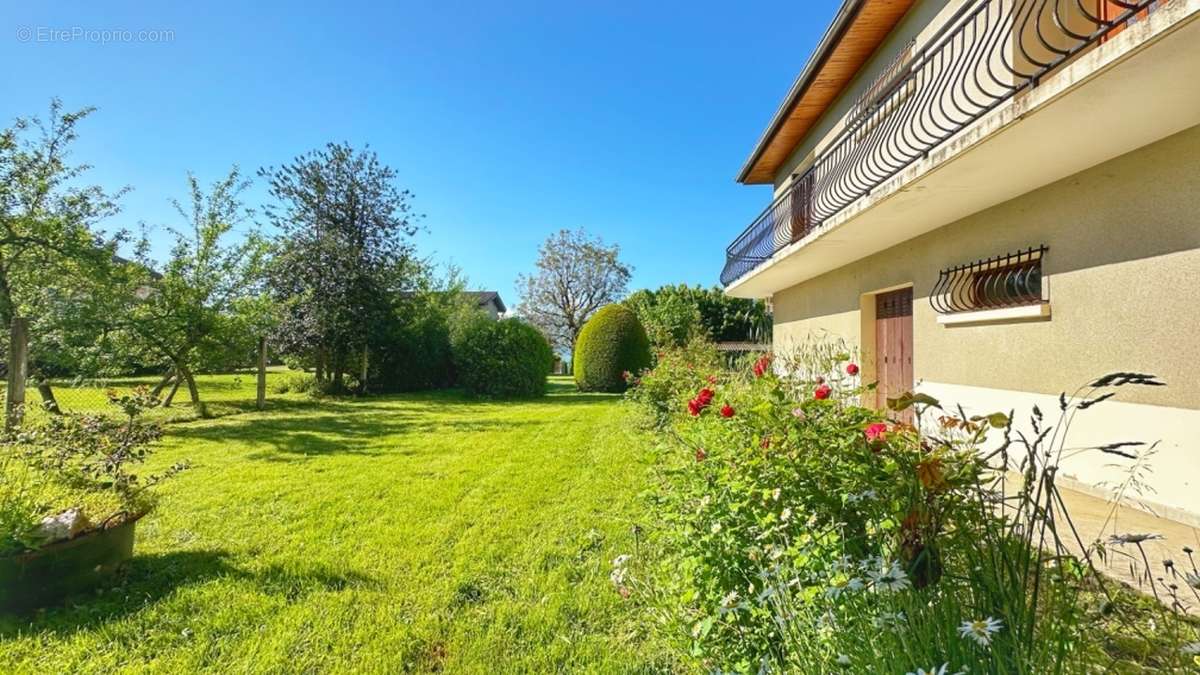 Maison à LA MURETTE