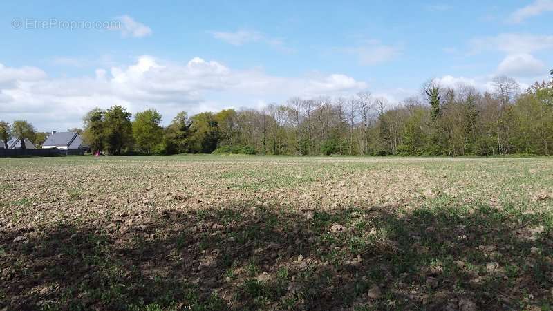 Terrain à TREVRON