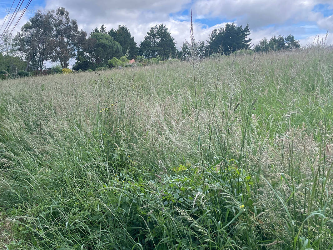 Terrain à MOUTIERS-LES-MAUXFAITS