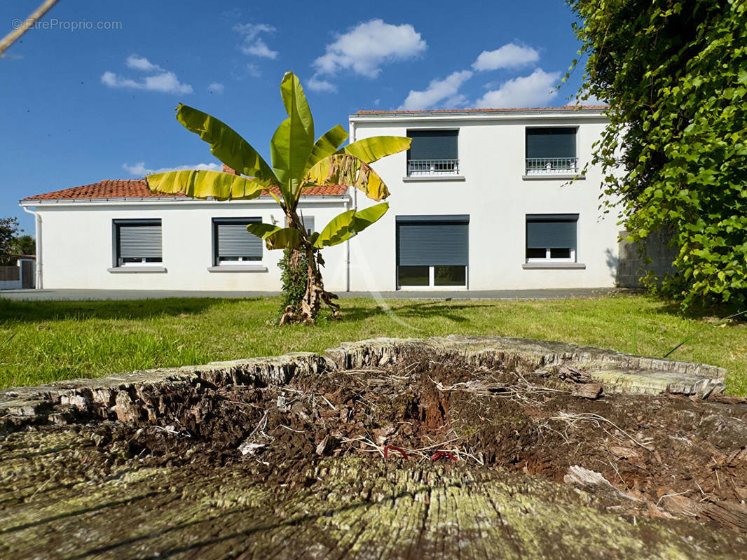 Maison à NIEUL-LE-DOLENT