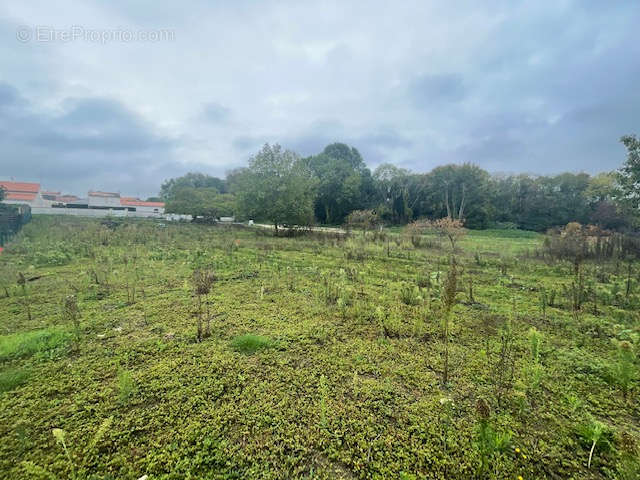 Terrain à SAINT-LAURENT-DE-LA-PREE