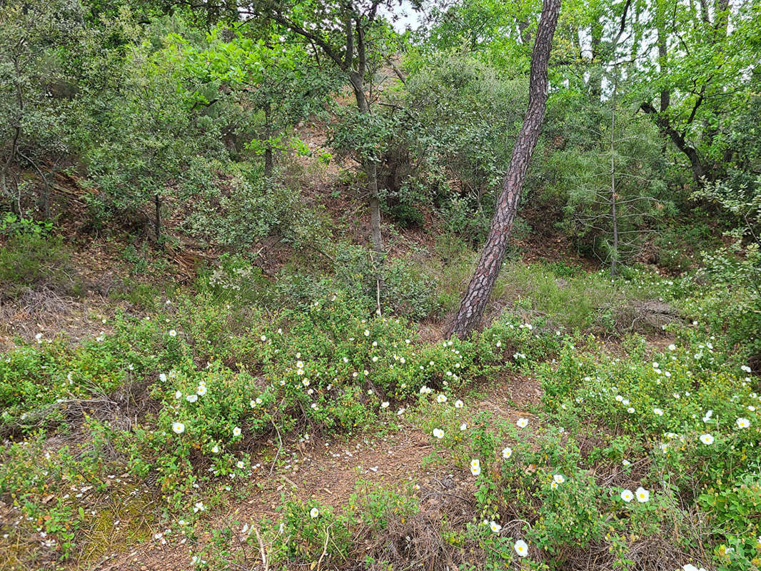 Terrain à VILLES-SUR-AUZON