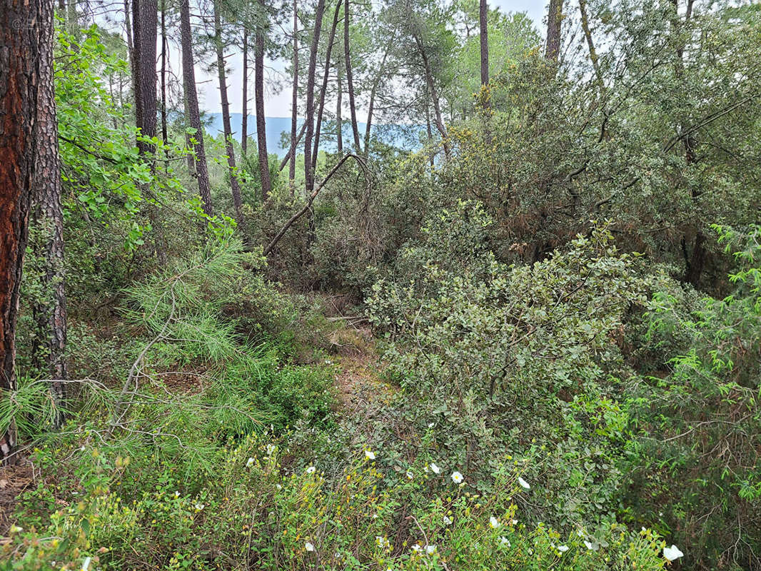 Terrain à VILLES-SUR-AUZON