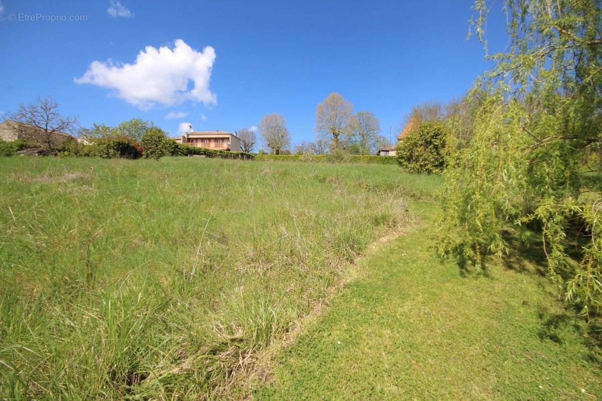 Terrain à BUZET-SUR-BAISE