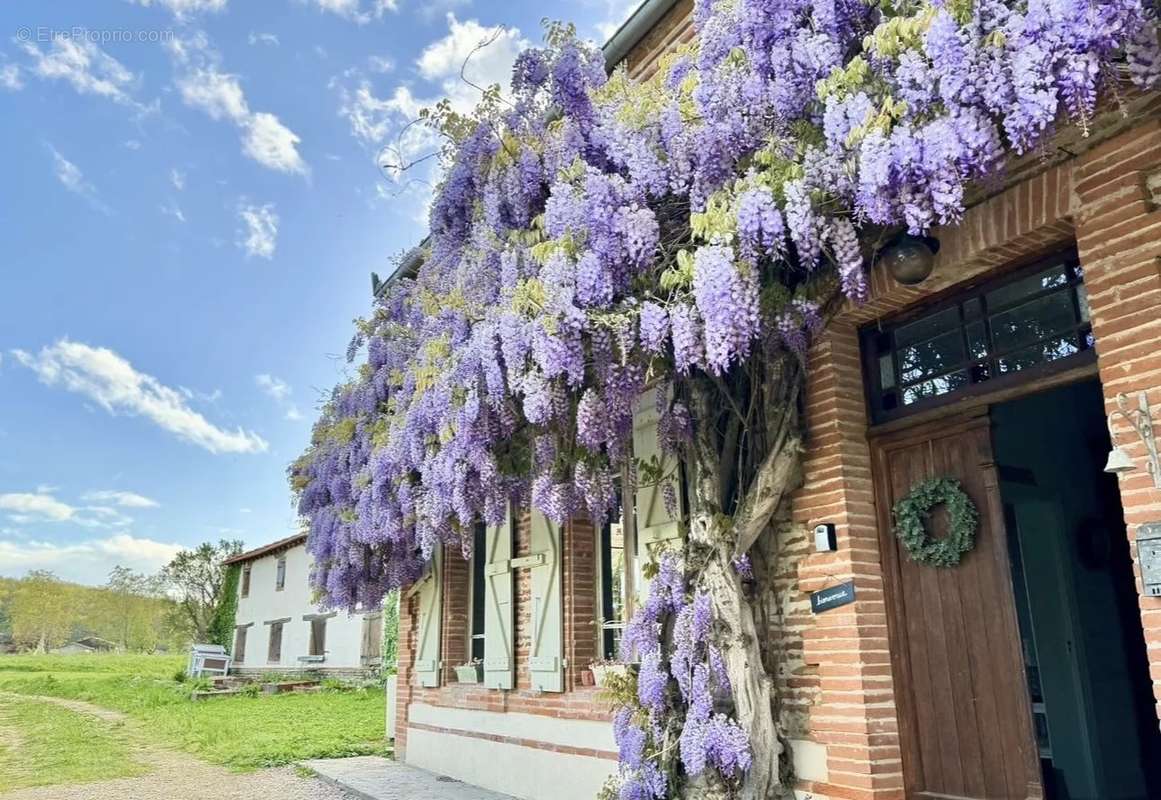 Maison à BEAUMONT-DE-LOMAGNE