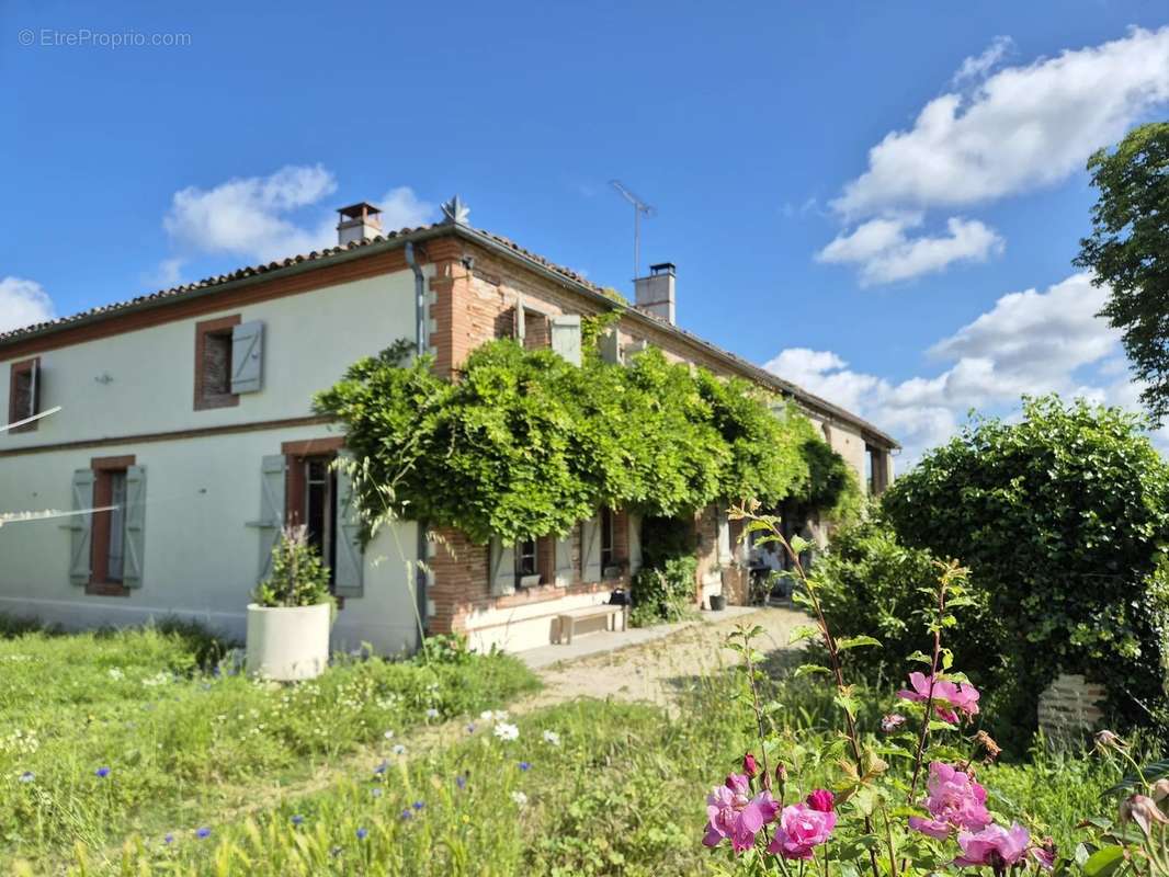 Maison à BEAUMONT-DE-LOMAGNE