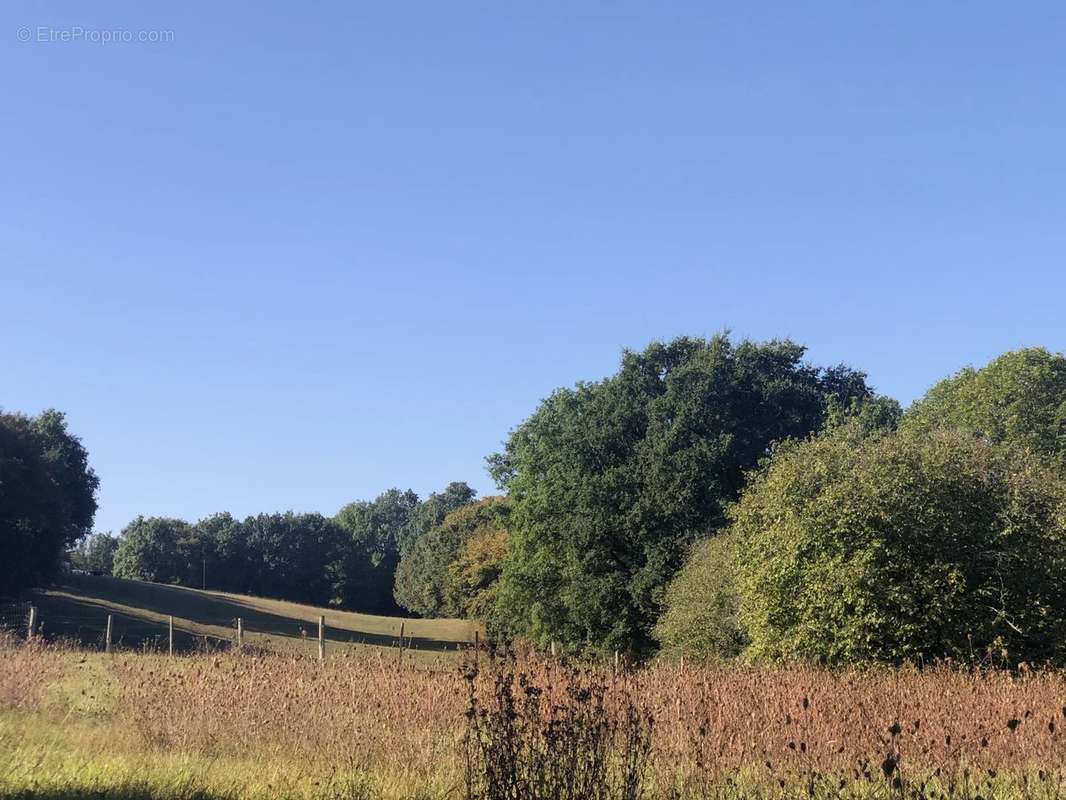 Terrain à NANTEUIL-EN-VALLEE