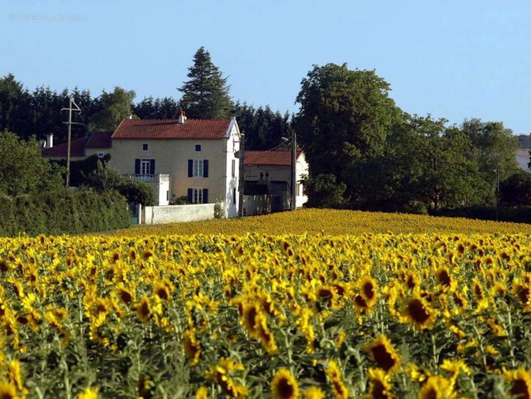 Maison à NERE