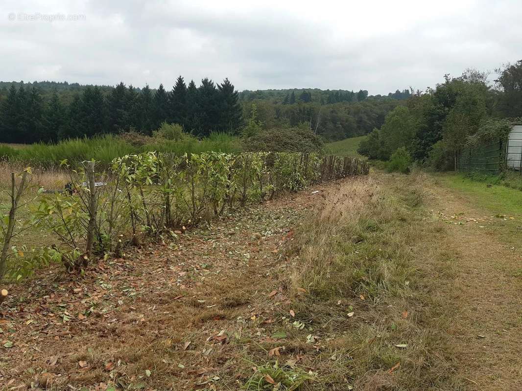 Terrain à CHABANAIS