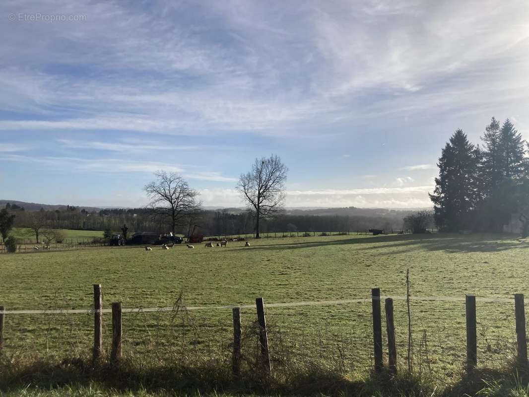 Terrain à LA COQUILLE