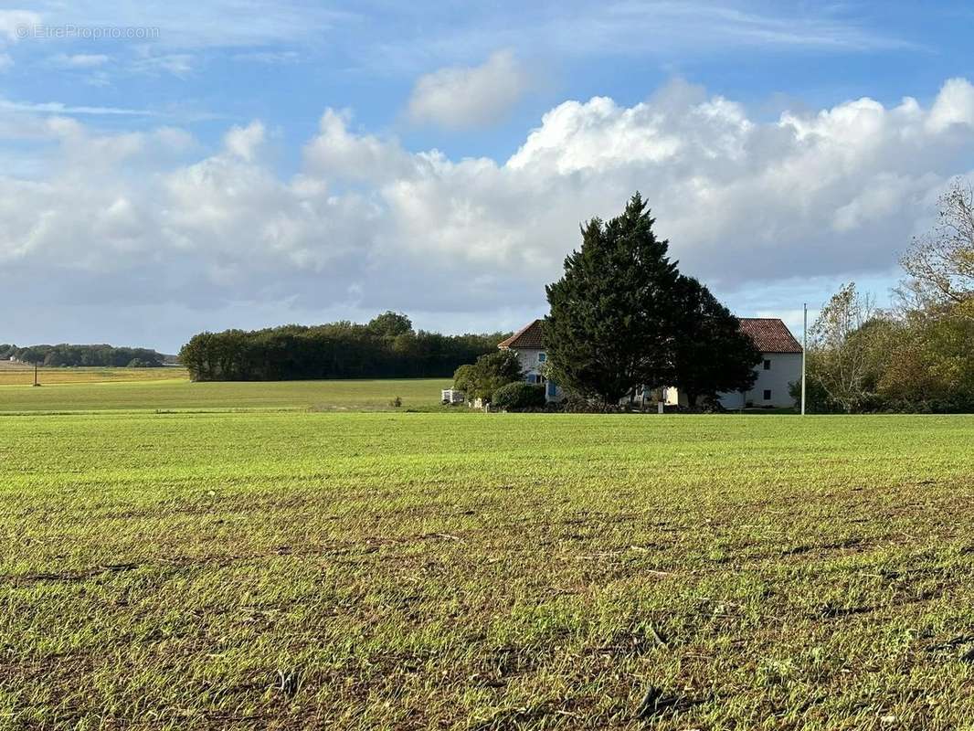 Maison à CHAUVIGNY