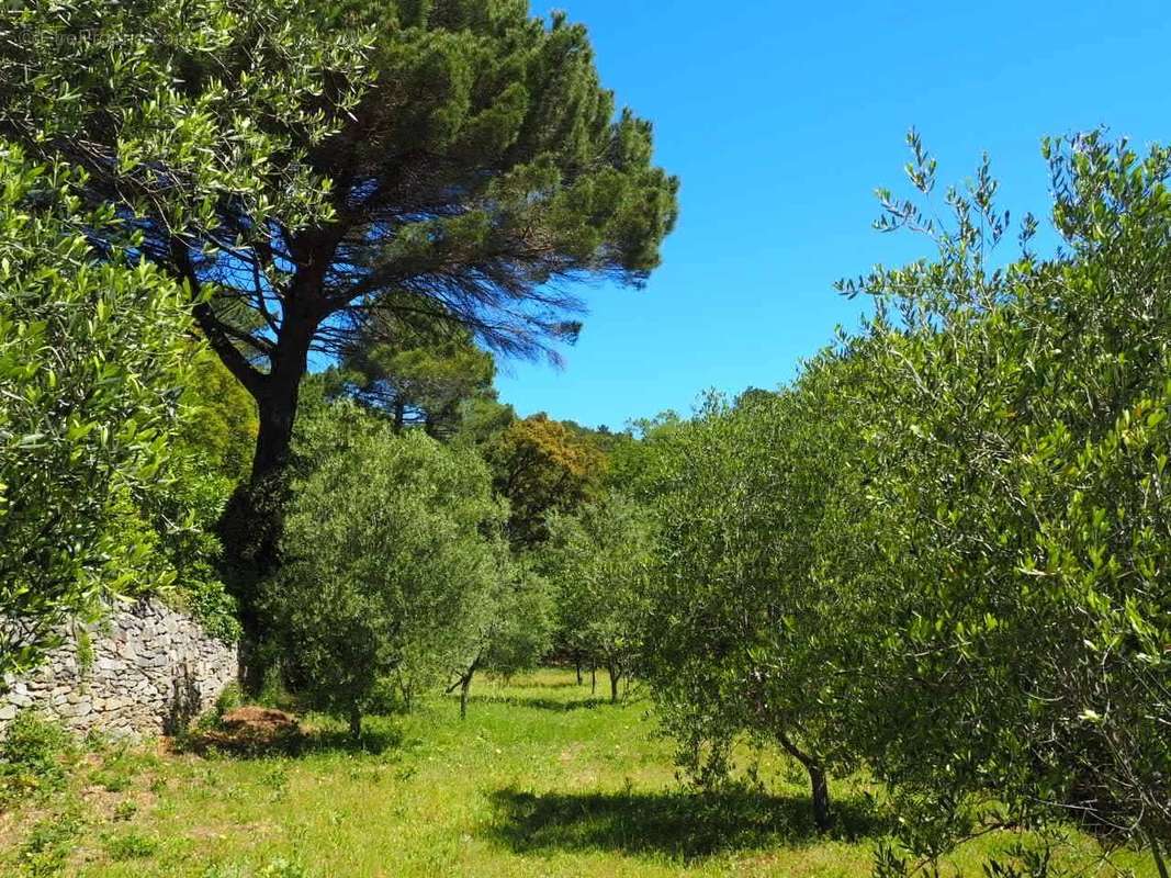 Maison à LA GARDE-FREINET