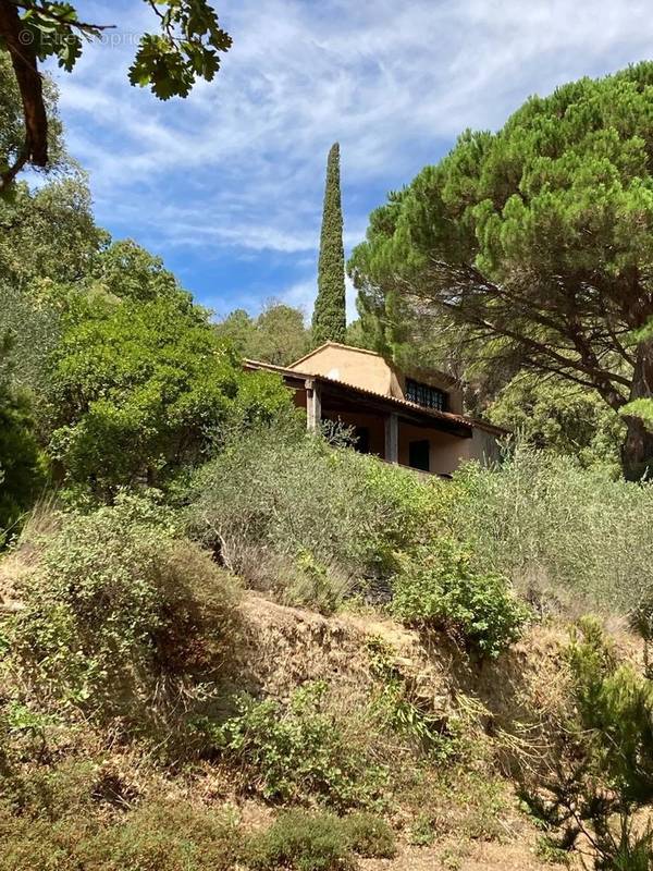 Maison à LA GARDE-FREINET