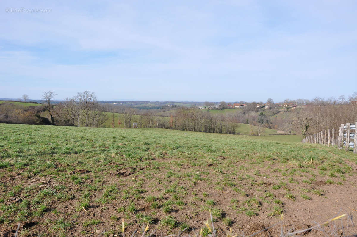 Terrain à SAINT-PRIX