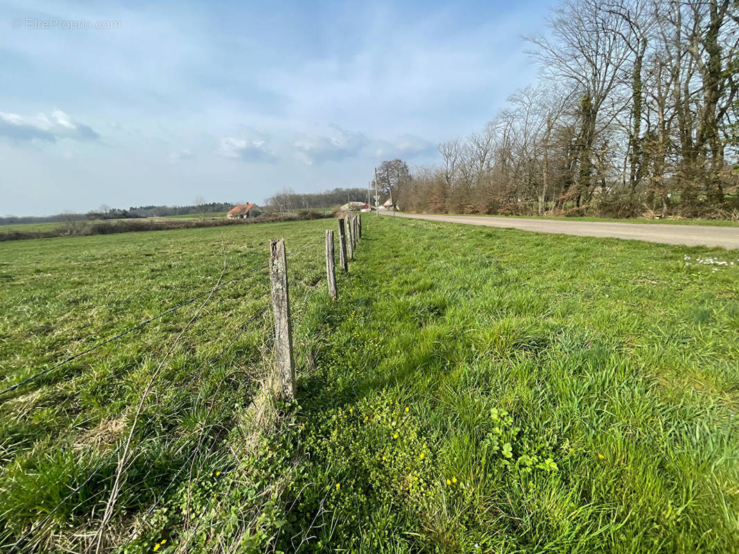 Terrain à SAUVIGNEY-LES-PESMES