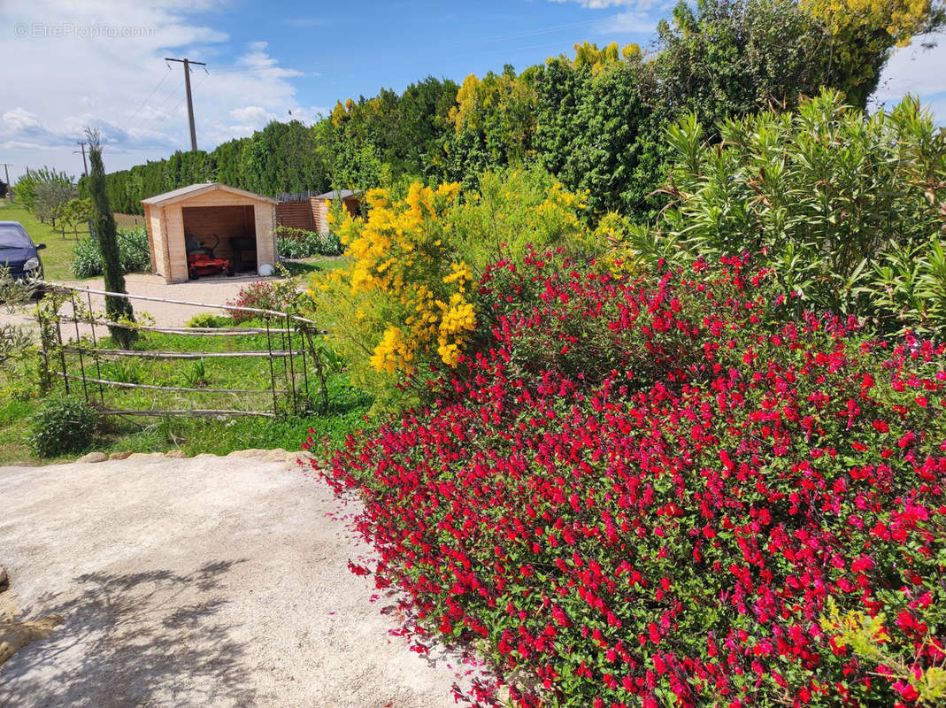 Maison à VIOLES