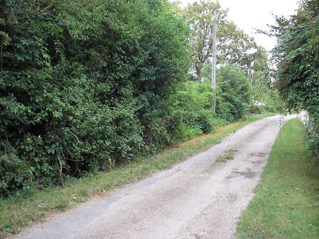 Terrain à SAULCET