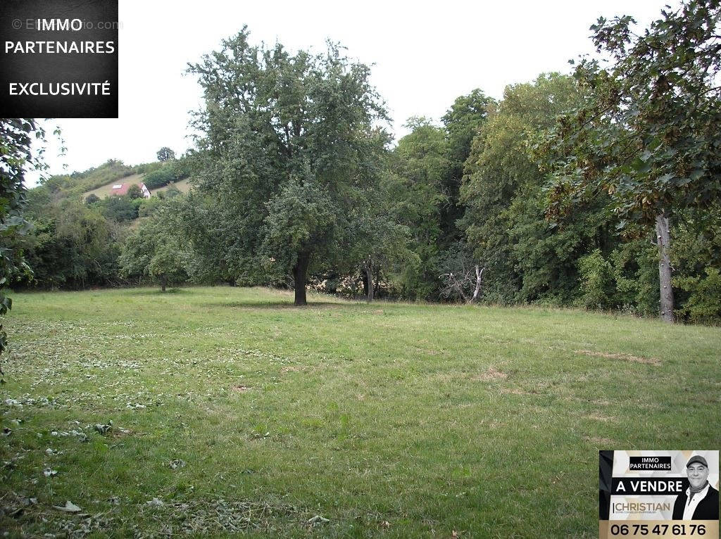 Terrain à SAULCET