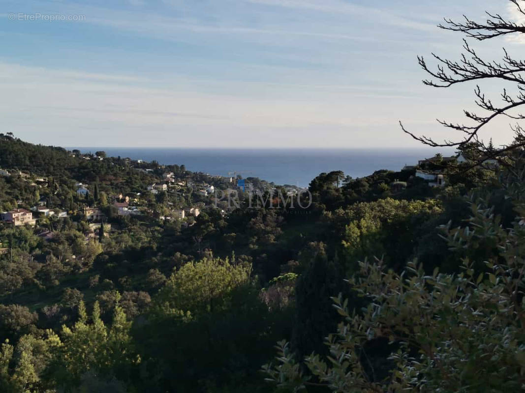 Terrain à LES ISSAMBRES