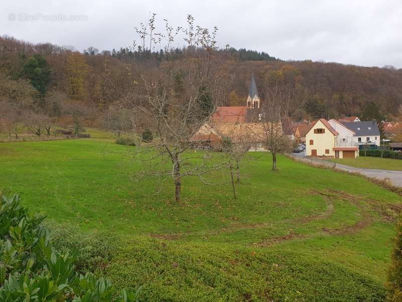 Terrain à OTTERSTHAL