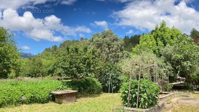 Maison à BUIS-LES-BARONNIES