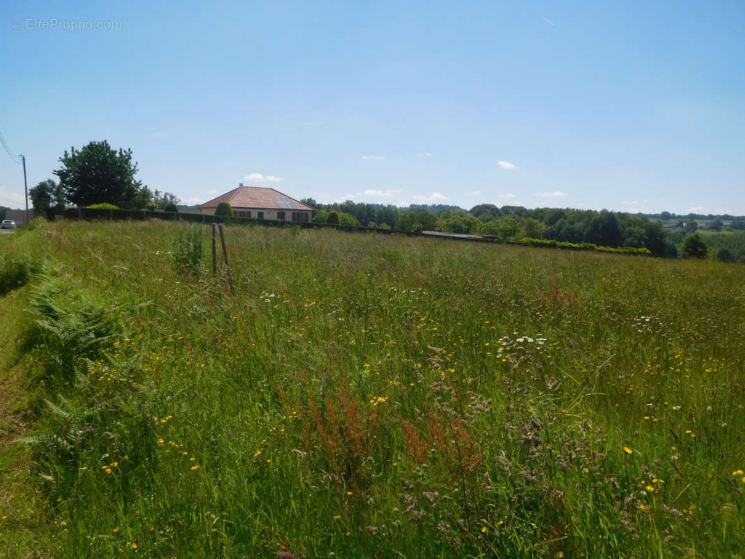 Terrain à SAINT-YRIEIX-LA-PERCHE