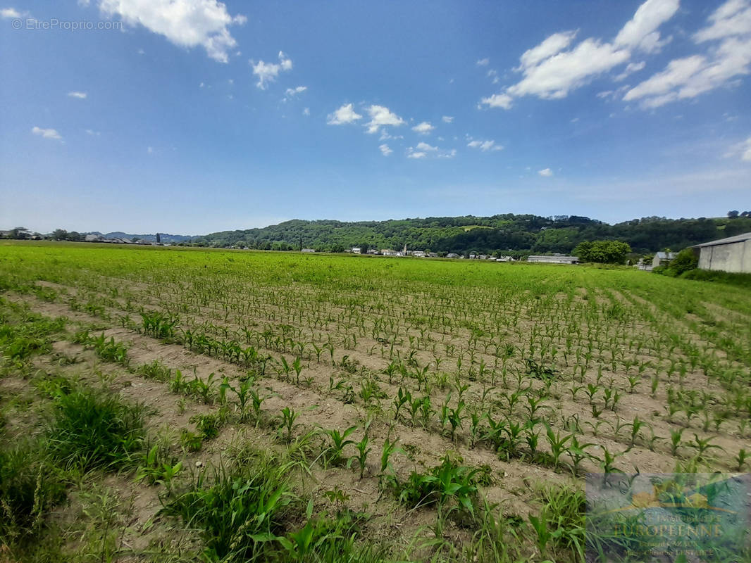 Terrain à LEZIGNAN