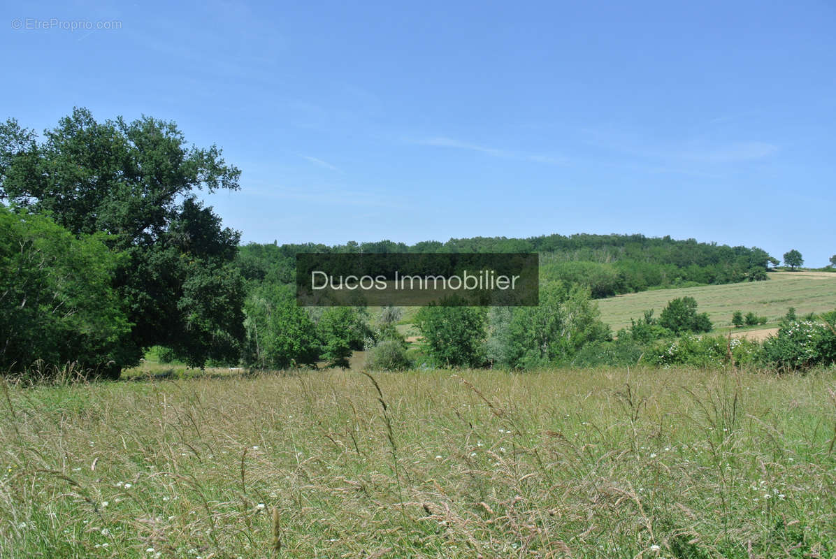 Terrain à CASTELNAU-SUR-GUPIE