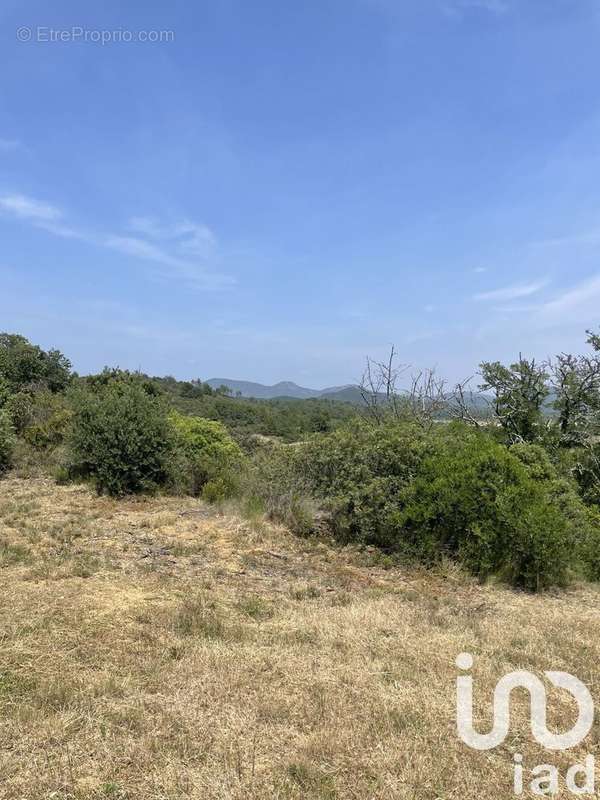 Photo 3 - Terrain à PRADES-SUR-VERNAZOBRE