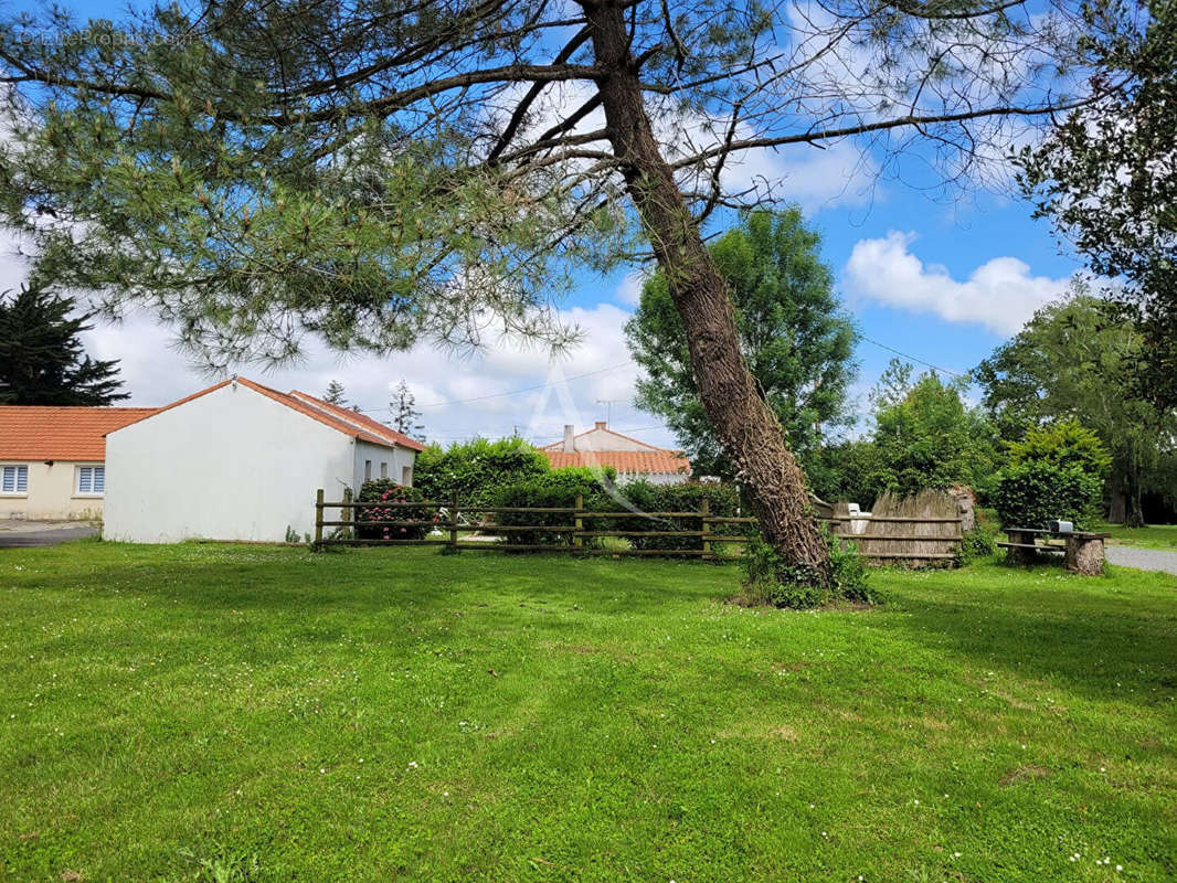 Maison à CHATEAUNEUF