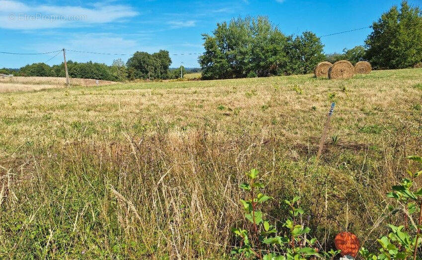 Terrain à TOUJOUSE