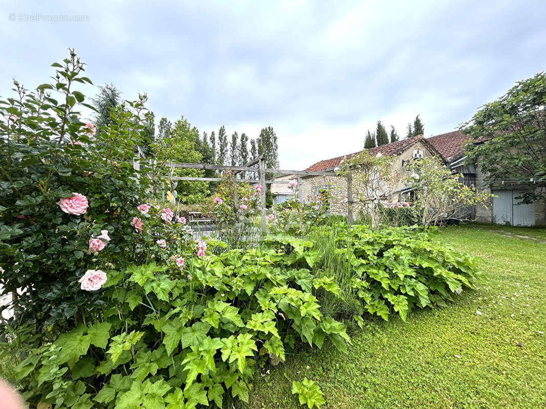 Maison à MONTREM