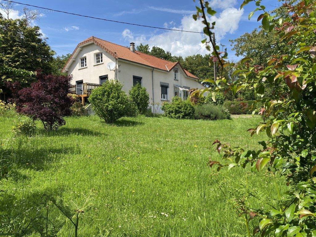 Maison à CHATEAUNEUF-LA-FORET