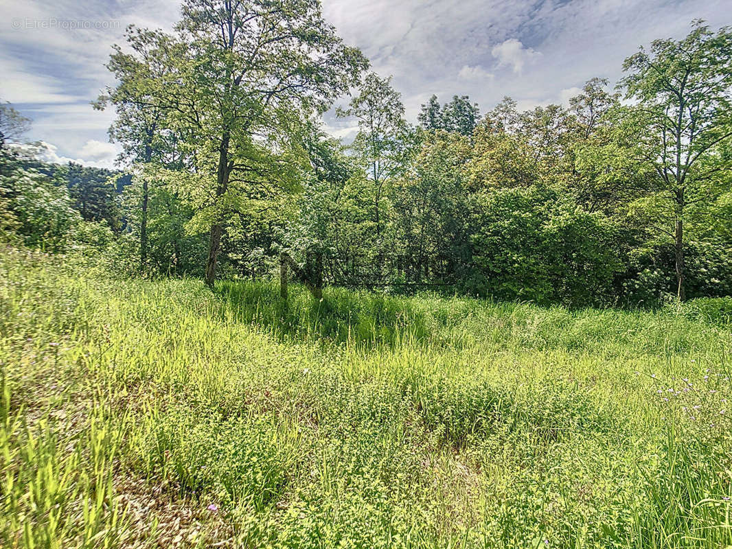 Terrain à NEUFCHATEAU