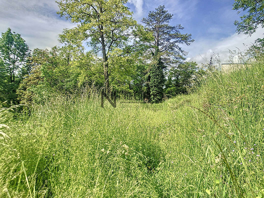 Terrain à NEUFCHATEAU