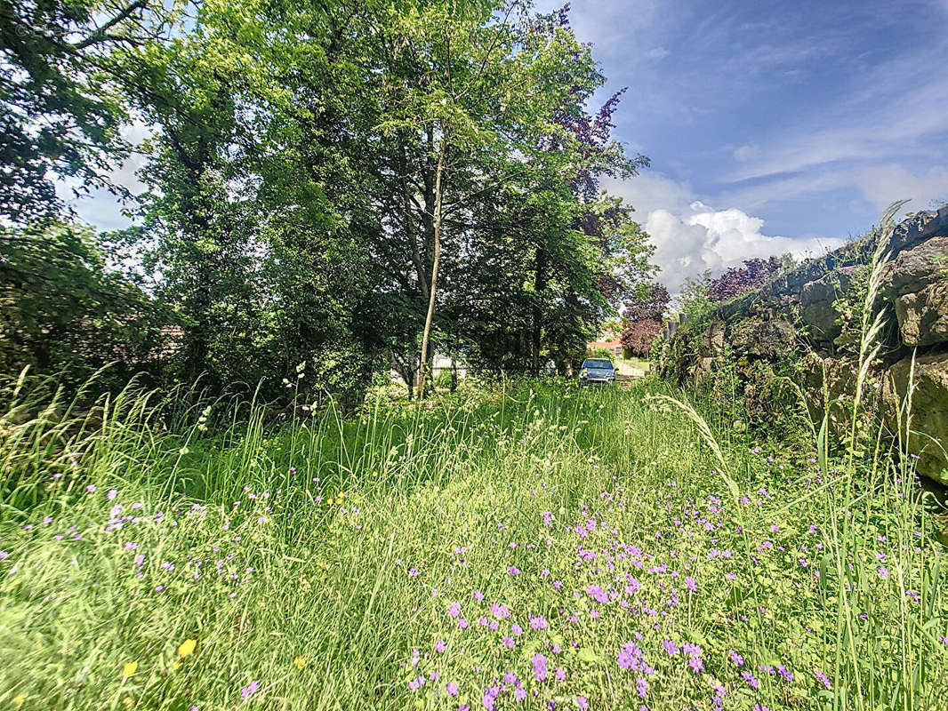 Terrain à NEUFCHATEAU