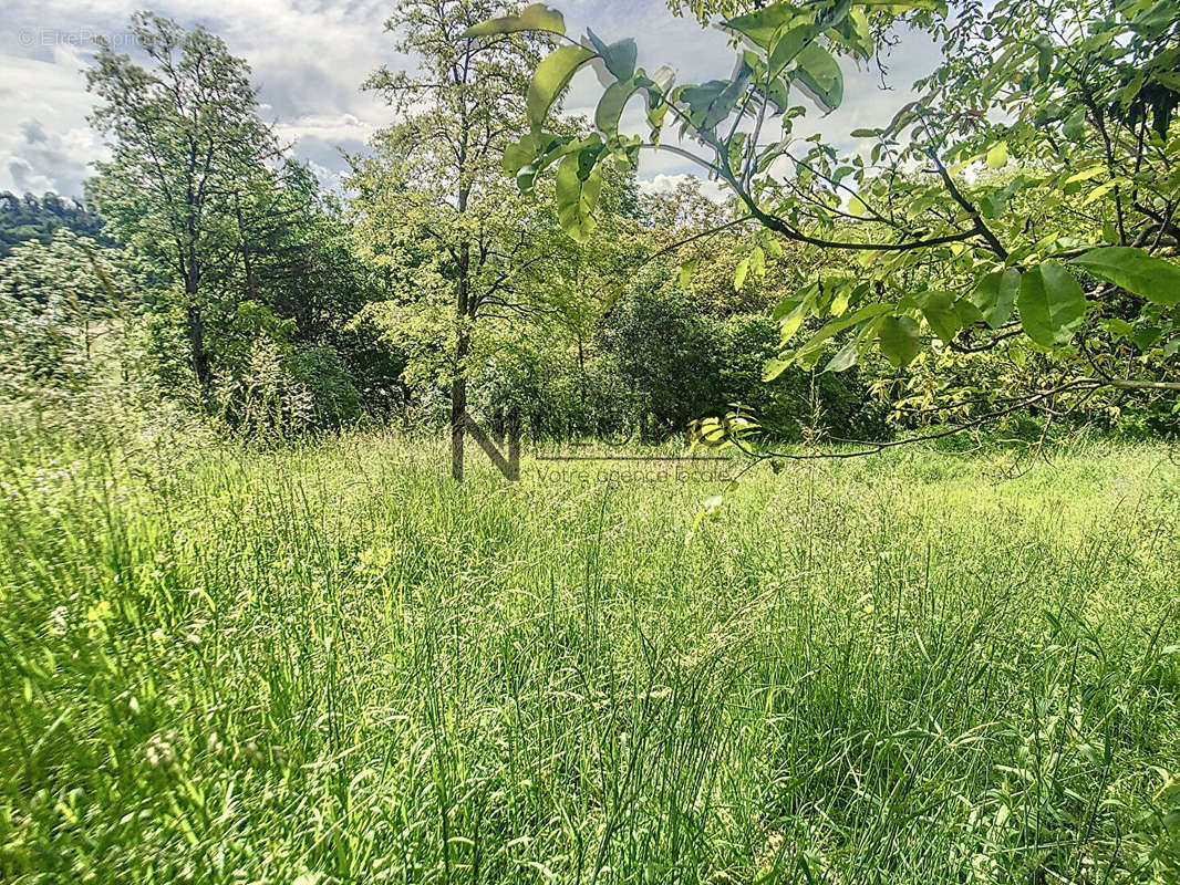 Terrain à NEUFCHATEAU