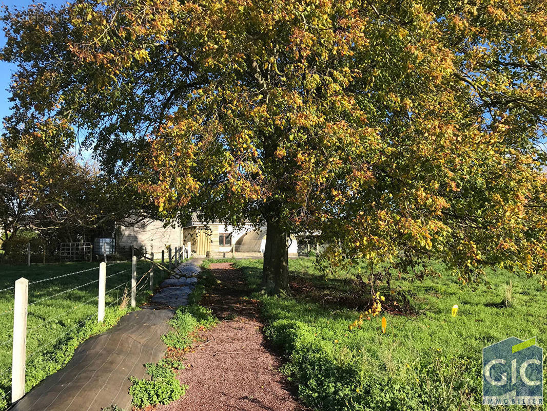 Terrain à BAYEUX