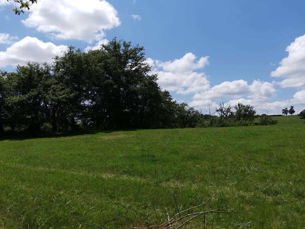 Terrain à BAGNAC-SUR-CELE