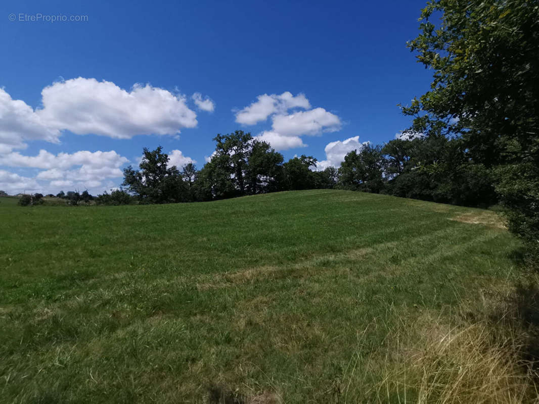 Terrain à BAGNAC-SUR-CELE