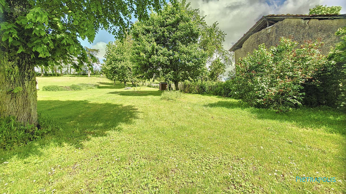 Terrain à CHATONNAY