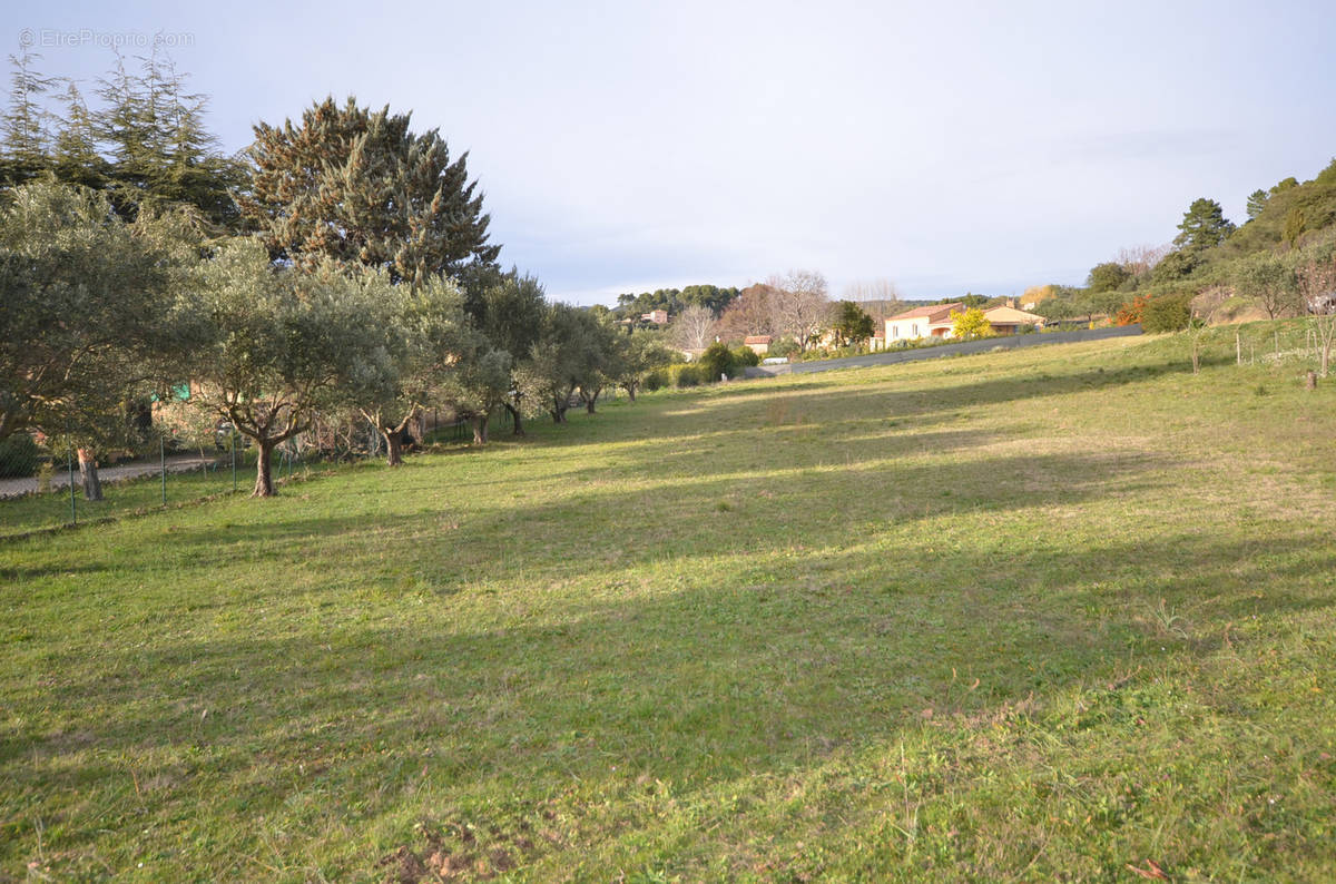 Terrain à AUPS