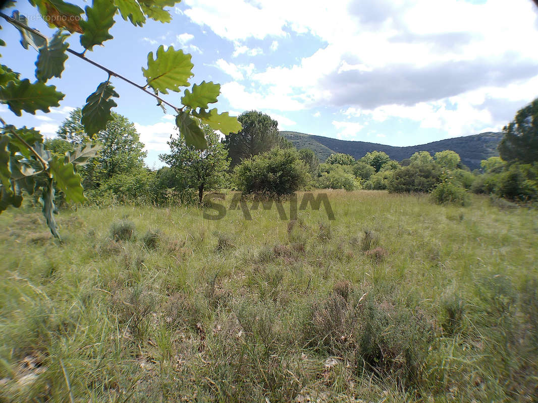 Terrain à SAUVE