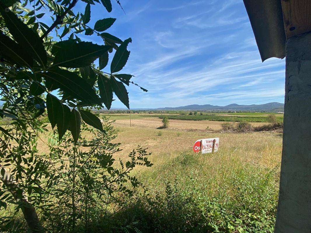 Terrain à BERRIAS-ET-CASTELJAU