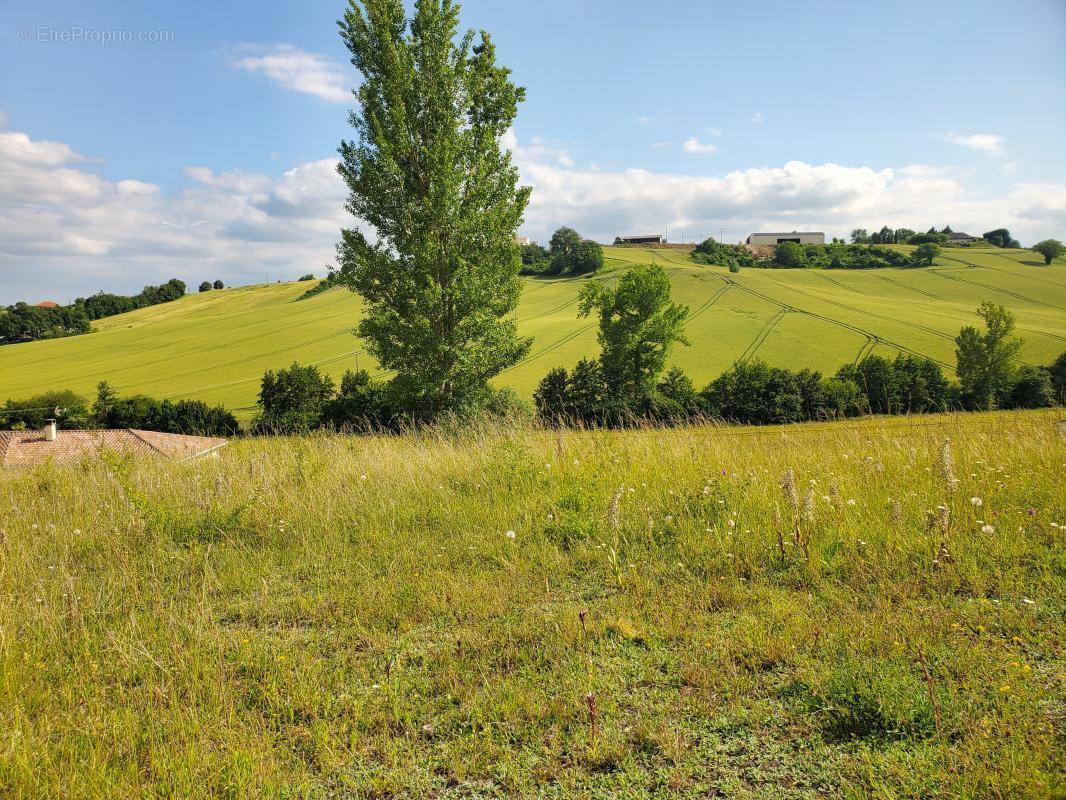 Terrain à LABASTIDE-PAUMES